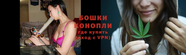 шишки Баксан