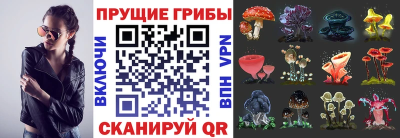 Псилоцибиновые грибы Psilocybine cubensis  мега   Коломна  что такое наркотик 