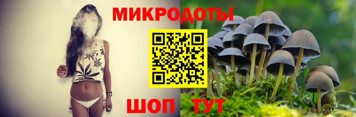 Коломна  Галлюциногенные грибы Cubensis  Вход с VPN 